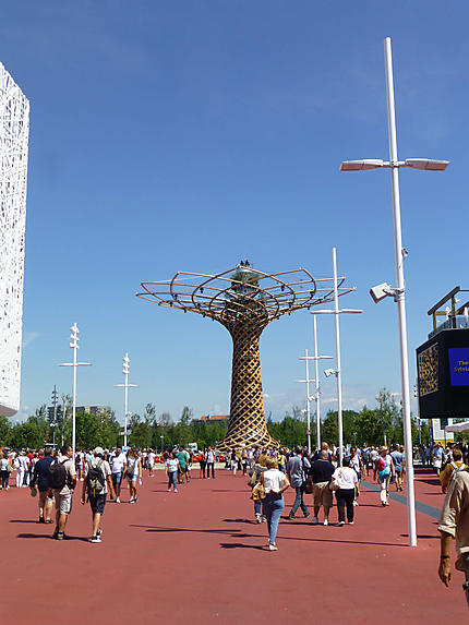L'arbre de vie de l'Expo