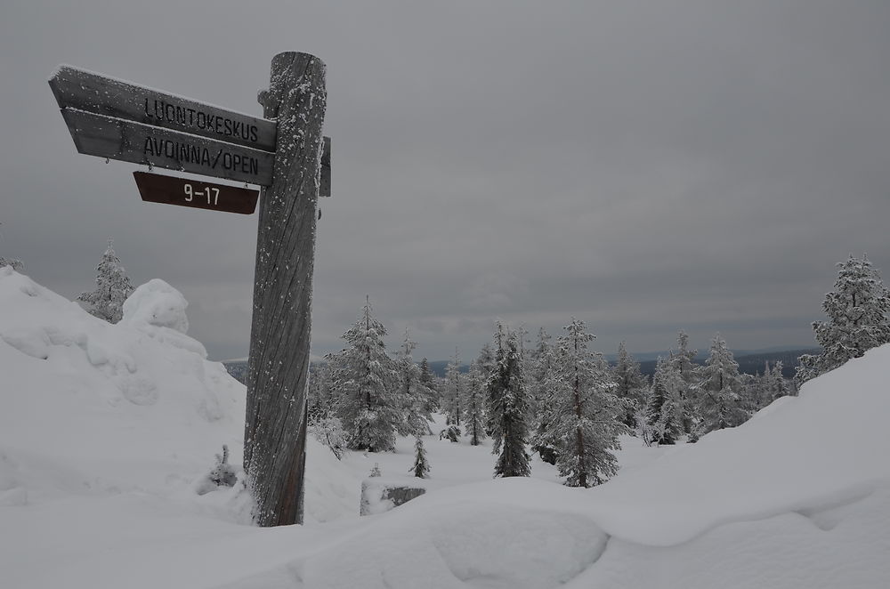 Randonnée aux alentours d'Äkäslompolo