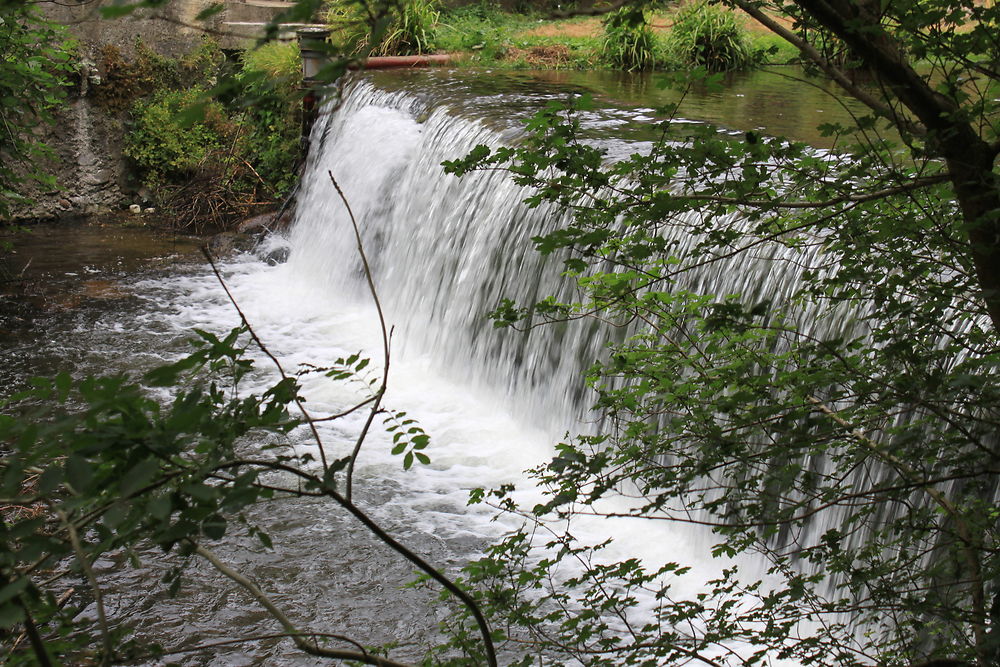 Saut du Sor à Durfort