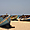 Barques de pêcheurs sur la plage