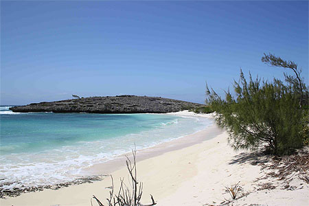Paradisiaque Paradisiaque