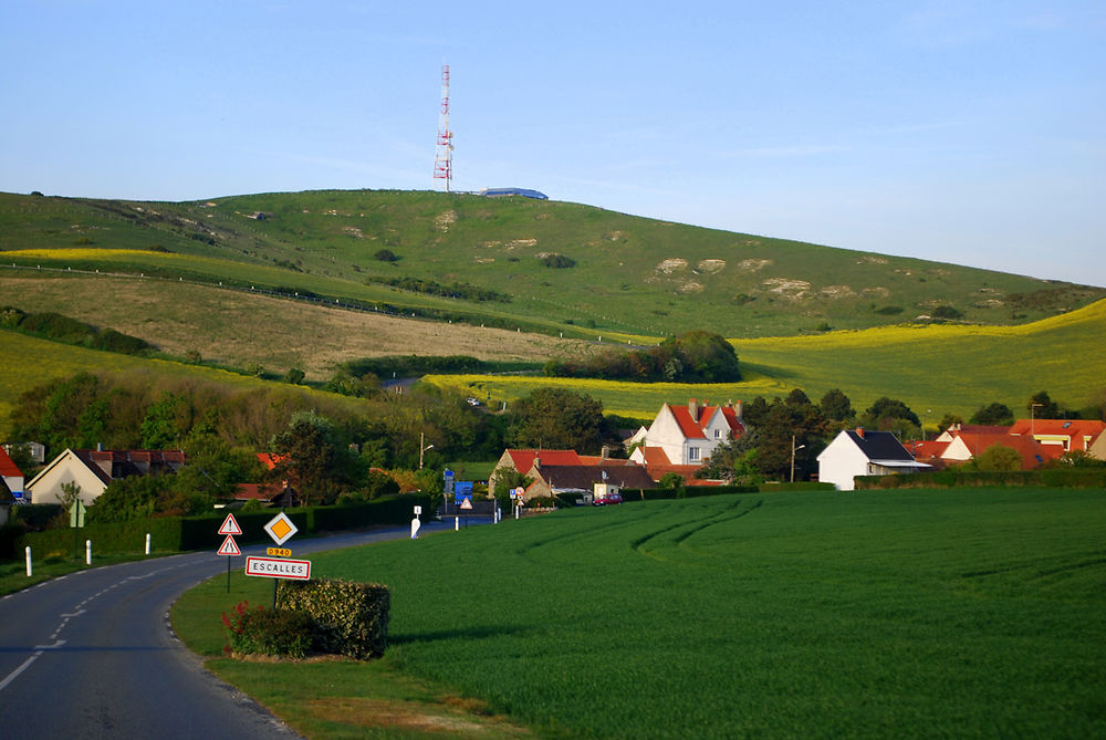 Couleurs du printemps