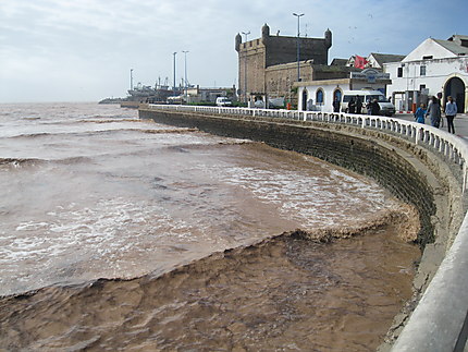 Mer de boue à Essaouira