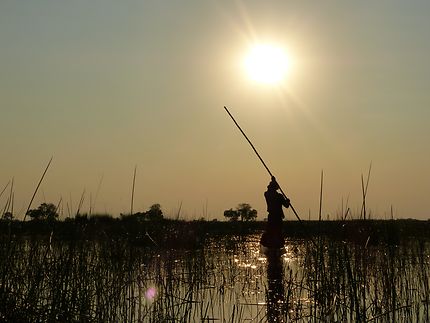 Coucher de soleil dans le delta de l'okavango 