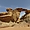 Trekking Wadi Rum, Jordanie