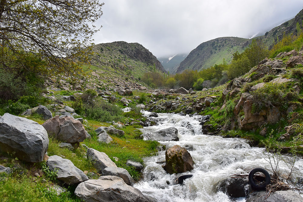 Vallée d'Alamut