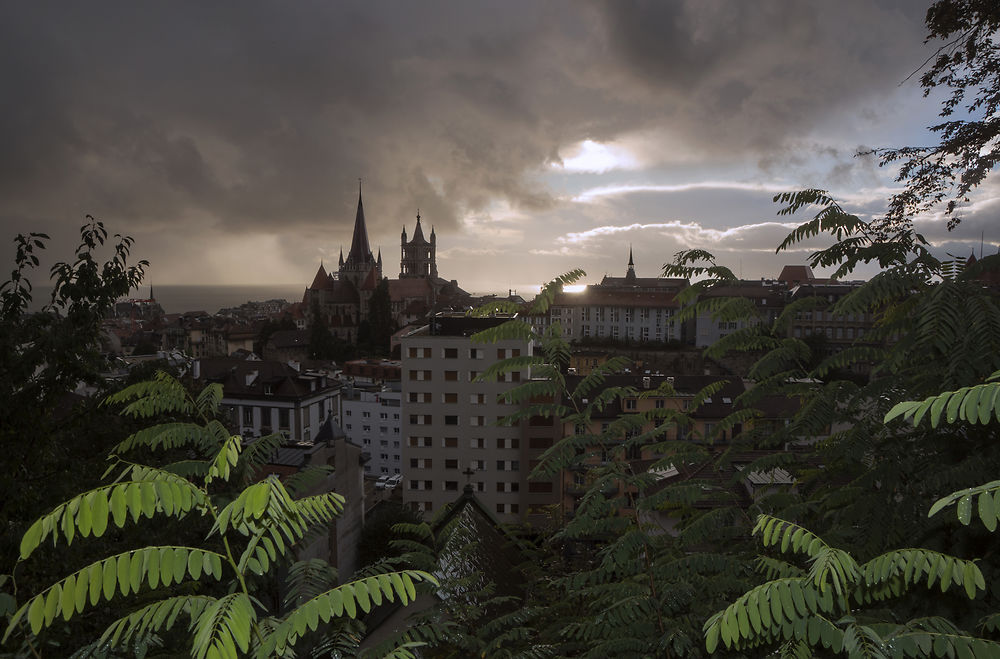 C'est l'automne à Lausanne