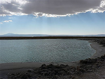 Laguna Cejar