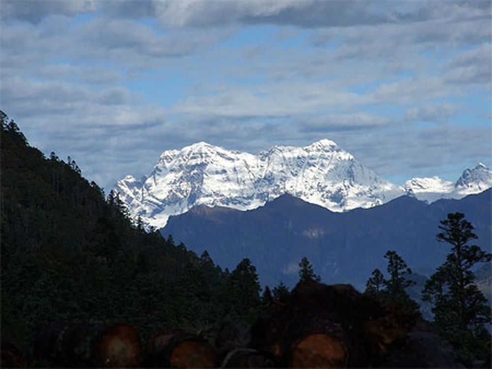 Putali (montagne papillon)