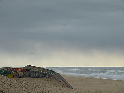 Bassin d'Arcachon