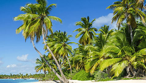 Martinique, vacances Jusqu'à -70%