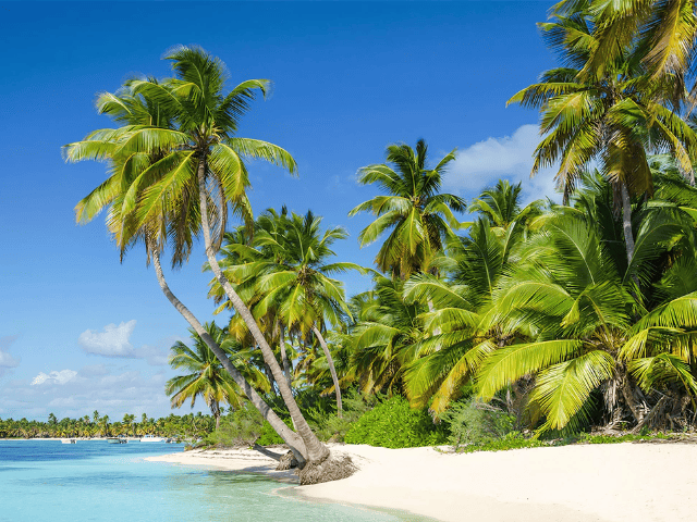 Martinique, vacances Jusqu'à -70%