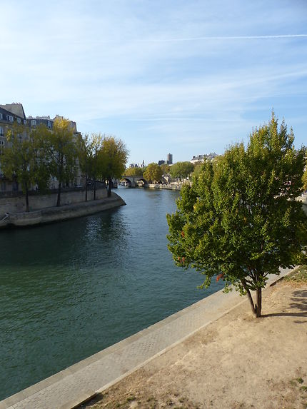 La Seine en automne, Paris