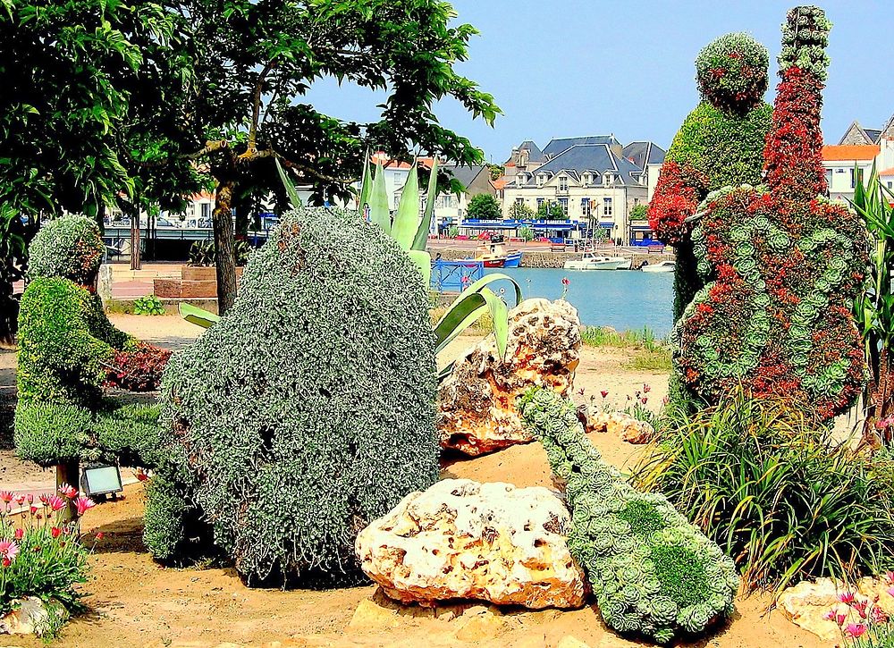 Buisson de musiciens à Saint-Gilles-Croix-de-Vie