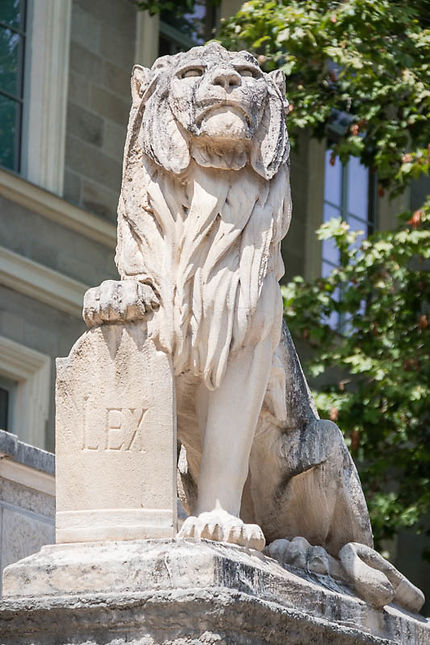 St-Etienne, un des lions du Palais de Justice