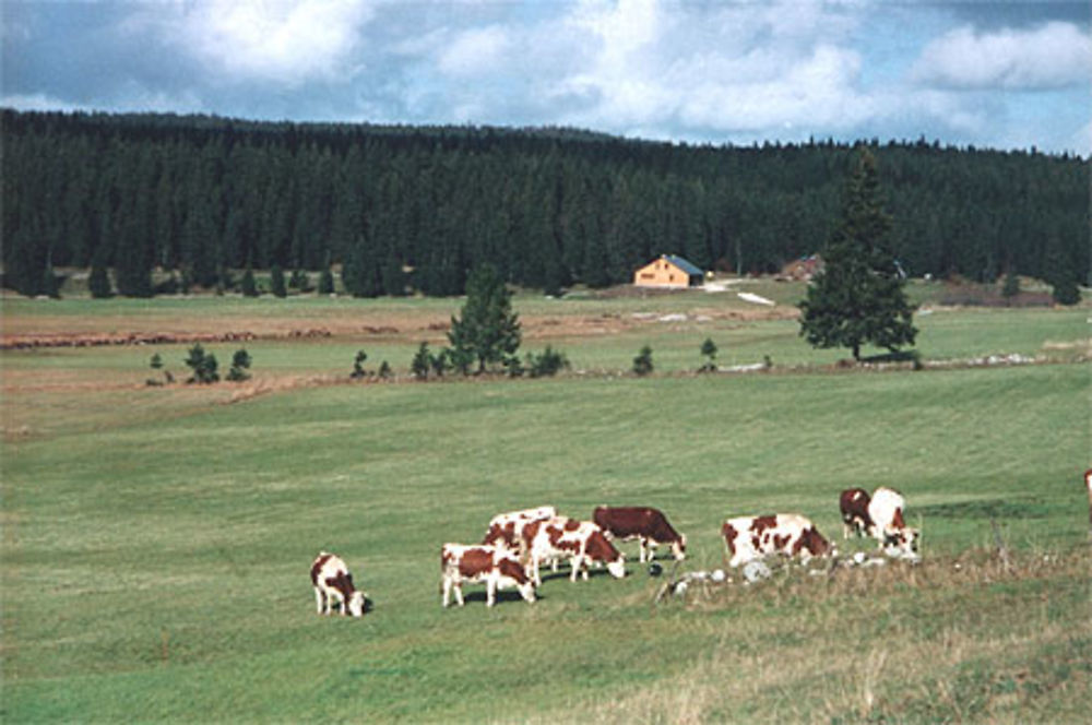 Chapelle des Bois en été