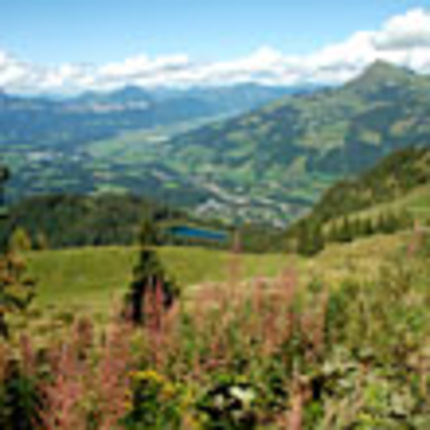 Le Tyrol du Kitzbüheler : verts alpages et riantes vallées