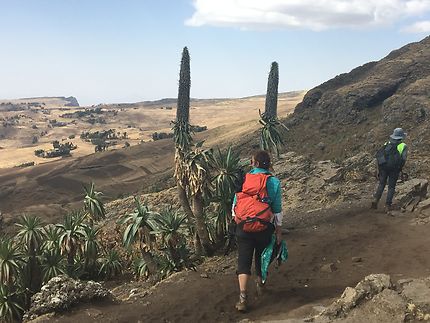 Trekking Éthiopie 