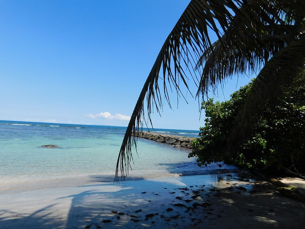 Plage du roseau