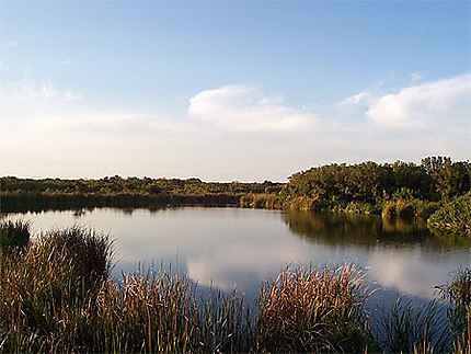 Lac aux Everglades