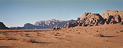 Caravane dans le Wadi Rum