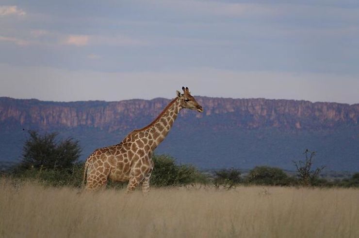 3 merveilleuses semaines en Namibie, en solo