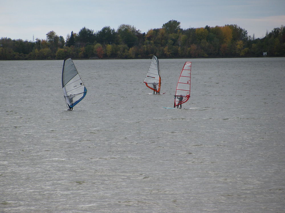 Planche à voile