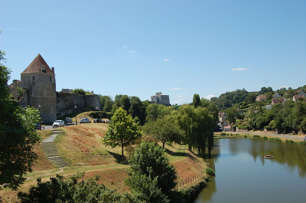 Vue sur le centre-ville et le château de Falaise