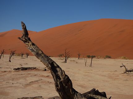 Namibie Dead Vlei