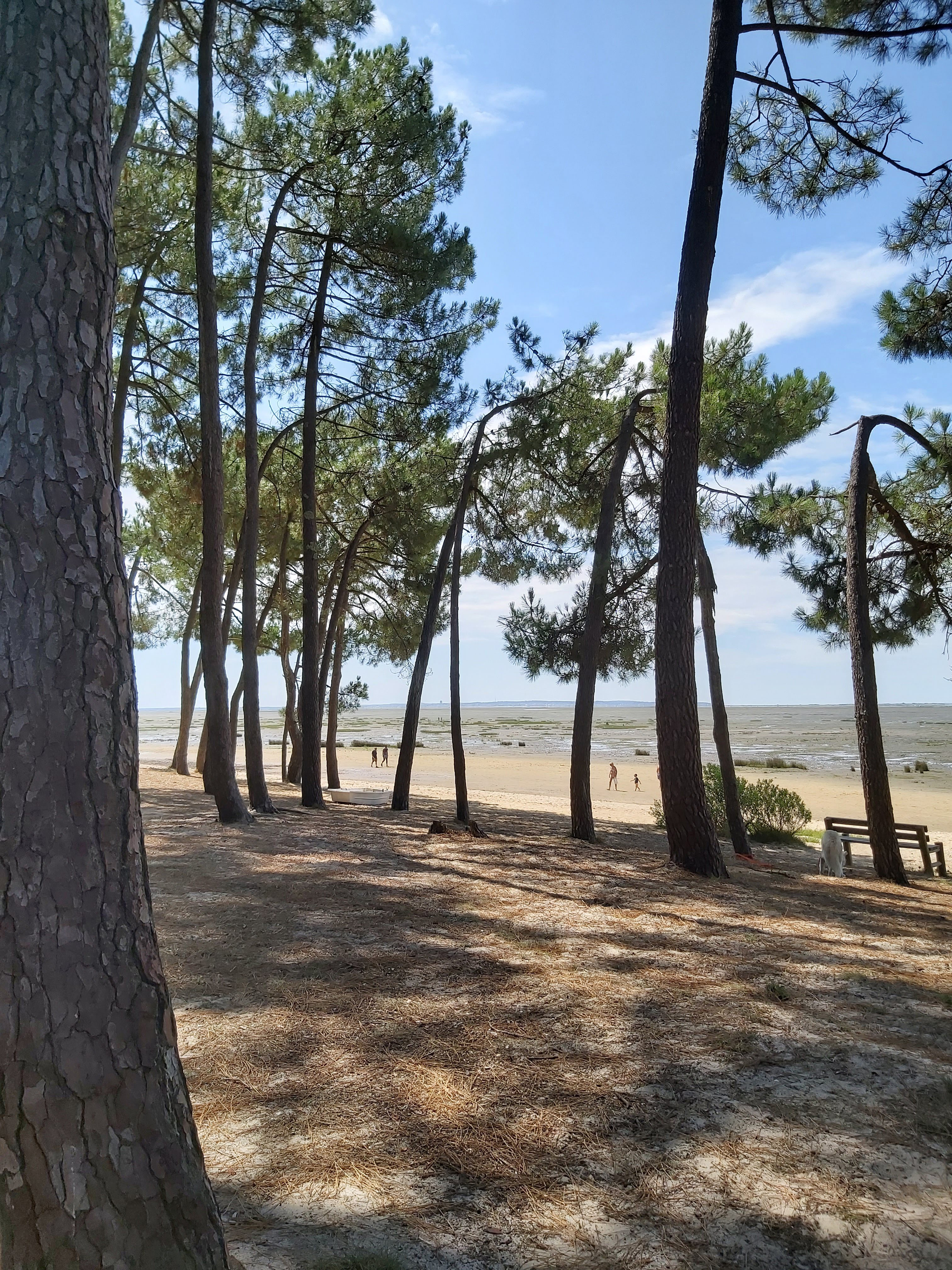 Pique-nique au Bassin d'Arcachon Pique-nique au Bassin d'Arcachon