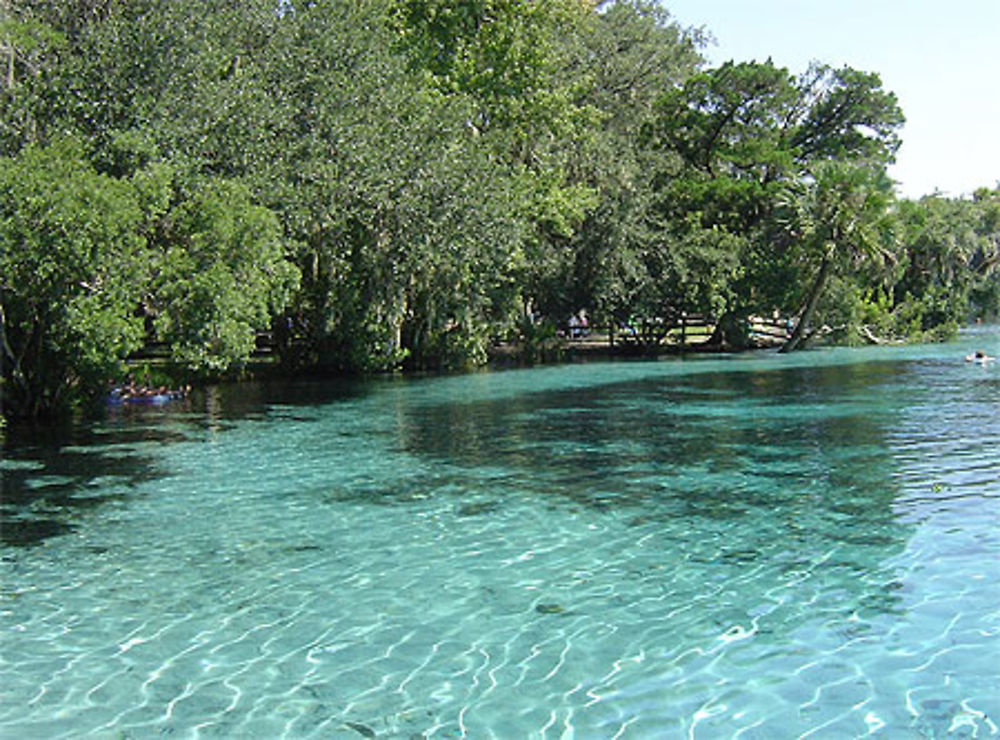 Silver Glen Spring park