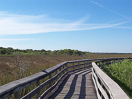 Promenade aux Everglades