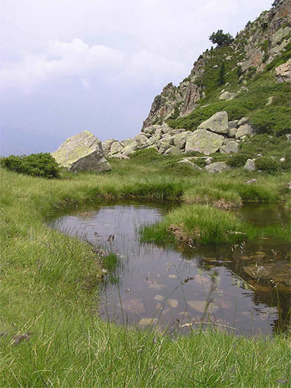 Plateau du Lienz