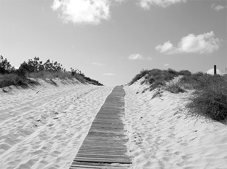 Bassin d Arcachon Noir et blanc Bassin d Arcachon Gironde