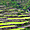 Rizières en terrasses à Bontoc