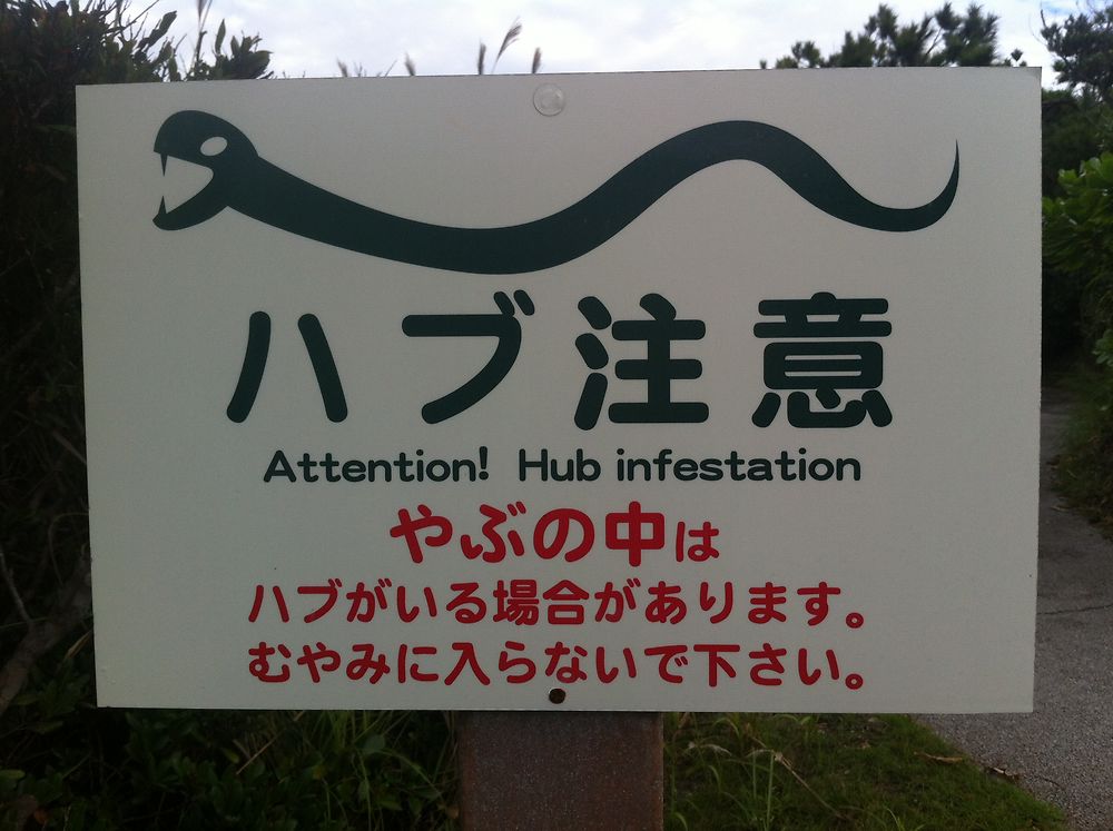 Attention serpents