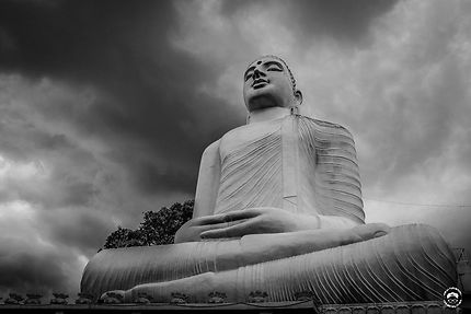Le grand bouddha blanc de Kandy