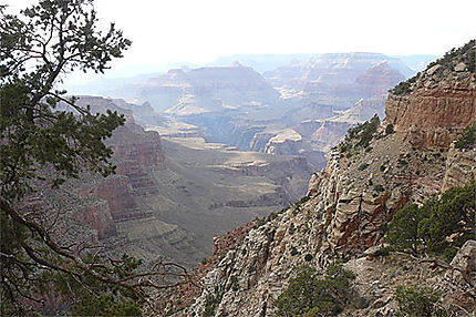 Grand Canyon National Park (Yaki Point)