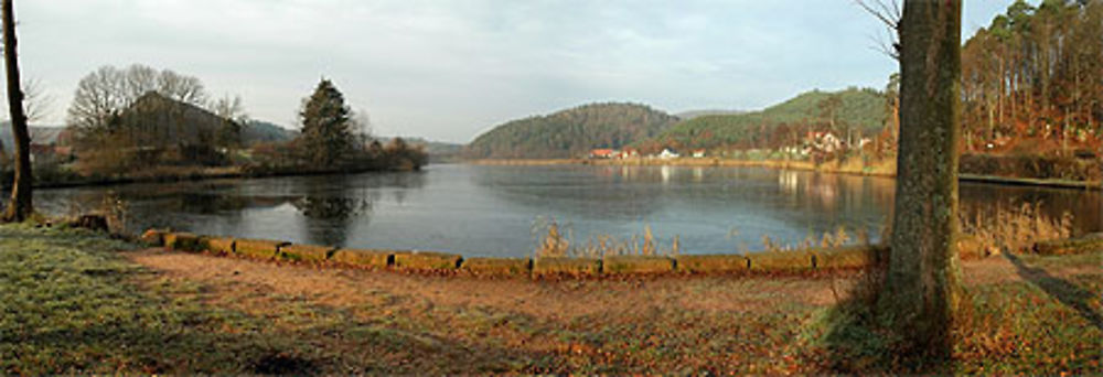 Etang de Baerenthal en hiver