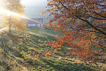 Soleil d'octobre