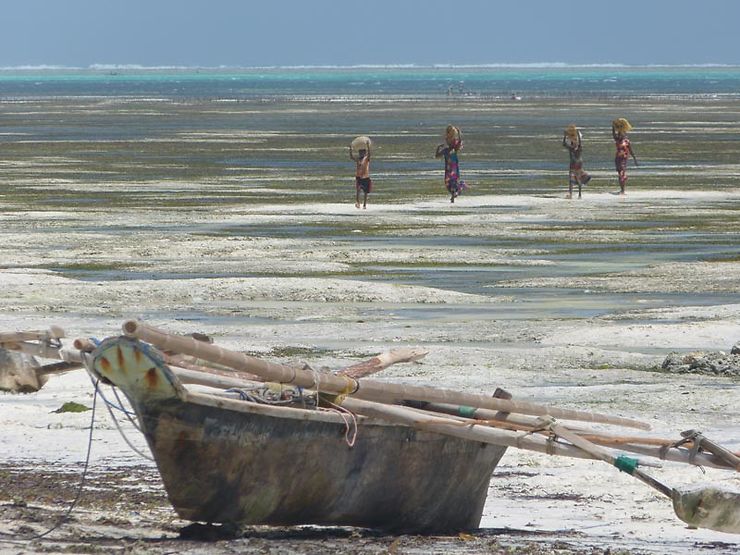 Des zigzags à Zanzibar