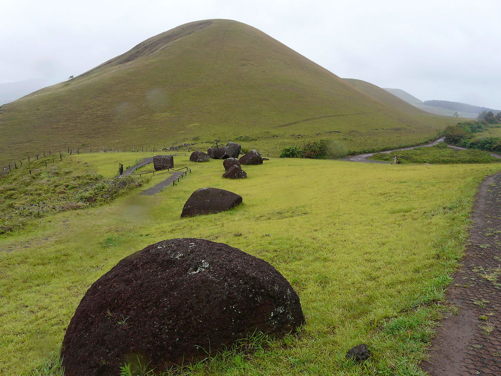 Carrière des Pukao