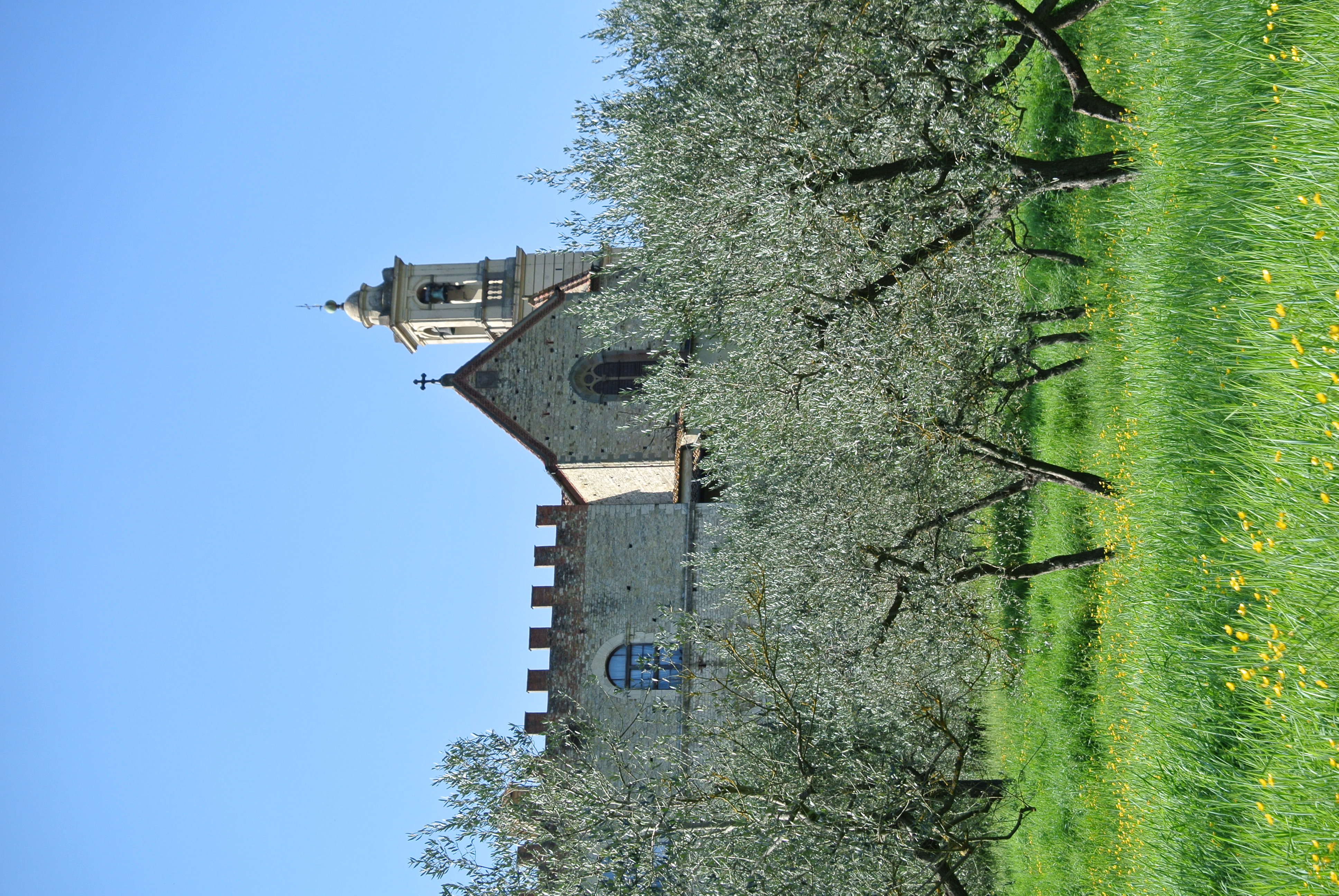 Chartreuse de Galluzzo