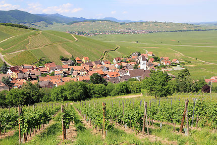 Anniversary - The Alsace Wine Route celebrates its 70th anniversary