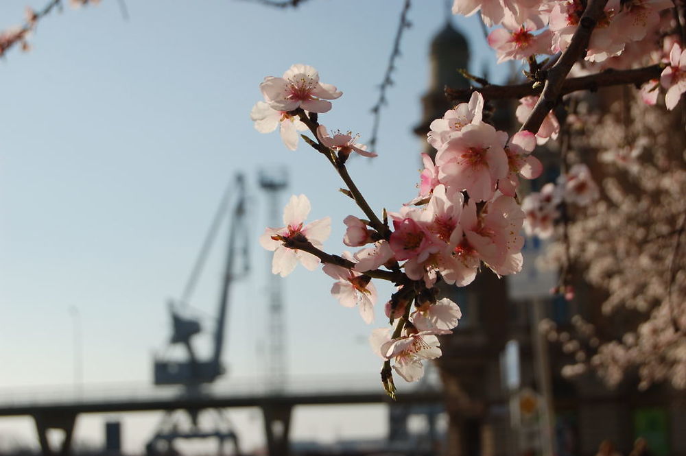 Le printemps pointe le bout de son nez