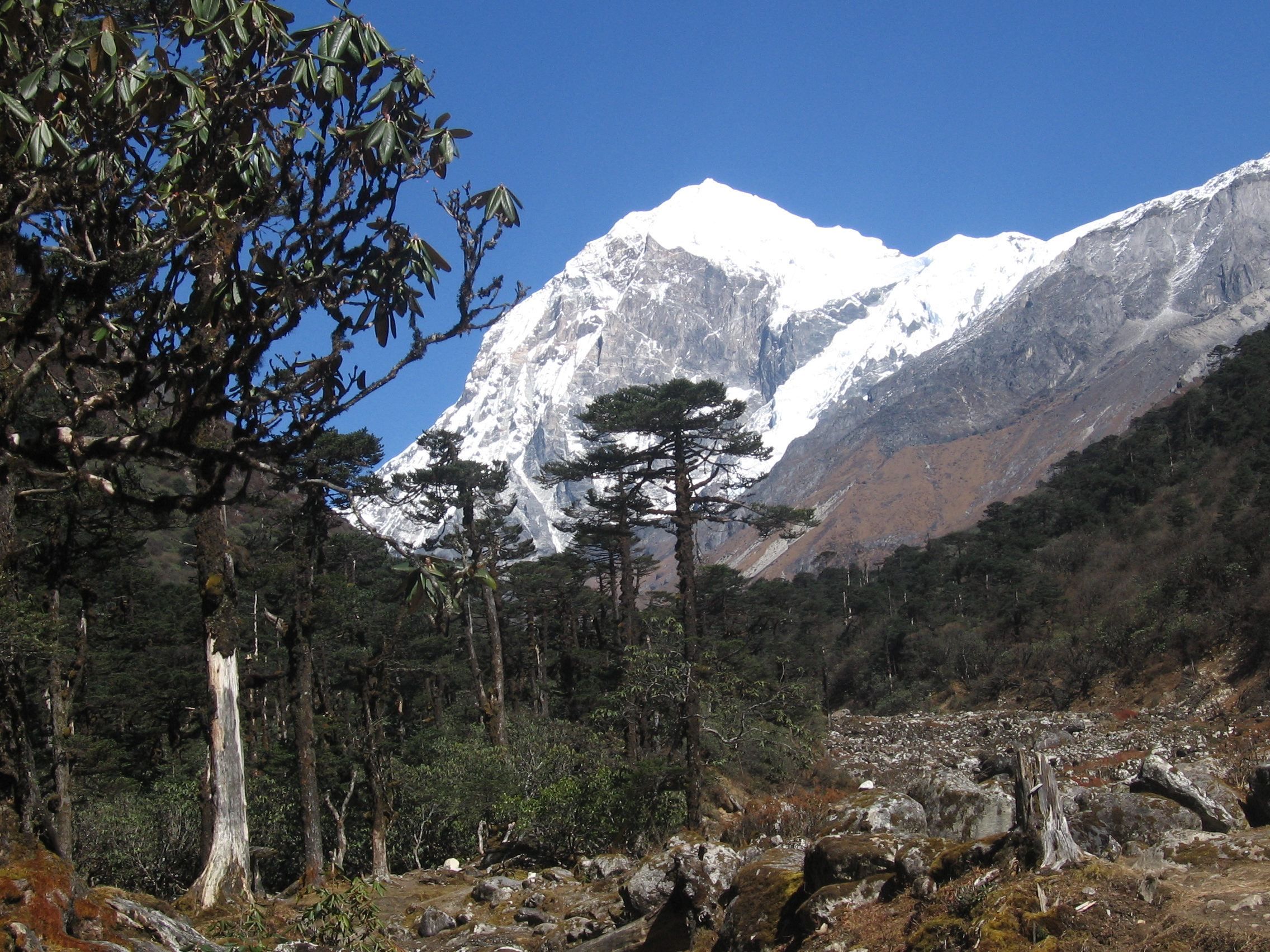 Trek vers le Khangchendzonga dans le Sikkim Trek vers le Khangchendzonga dans le Sikkim