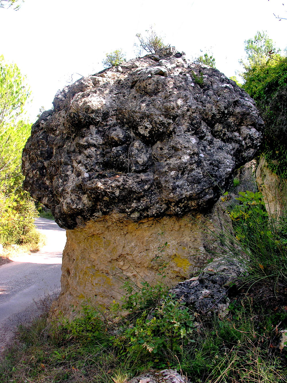 Méga champignon calcaire