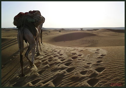 Trek en Mauritanie