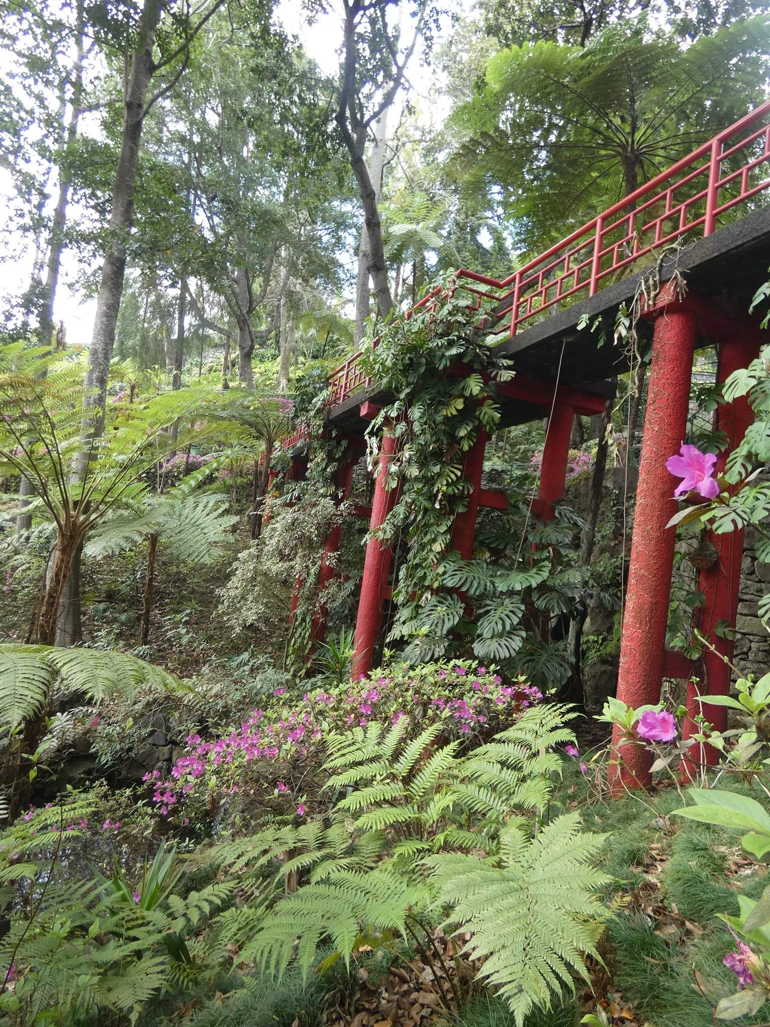 Jardin Monte Palace Jardin Monte Palace