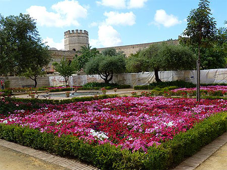 Alcazar de Jerez Alcazar de Jerez